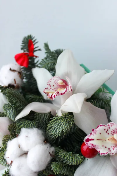 白い背景のクリスマスの花の組成 — ストック写真