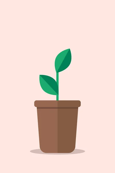 Plante Simple Aux Feuilles Vertes Pot Brun Confortable Maison Détails — Image vectorielle