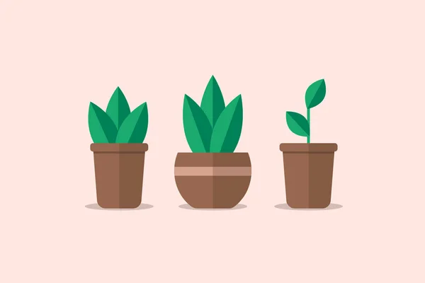 Plantas Simples Com Folhas Vasos Conjunto Com Três Plantas Vaso — Vetor de Stock