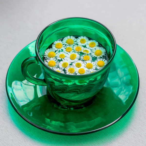 Marguerite Dans Une Tasse Verte Avec Une Soucoupe Summer Chaud — Photo