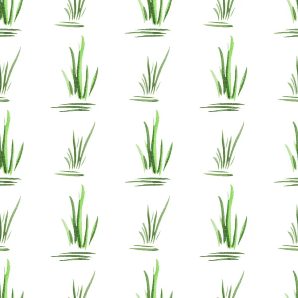 Beyaz Arka Planda Yeşil Elle Çizilmiş Suluboya Çimlerle Kusursuz Bir — Stok fotoğraf