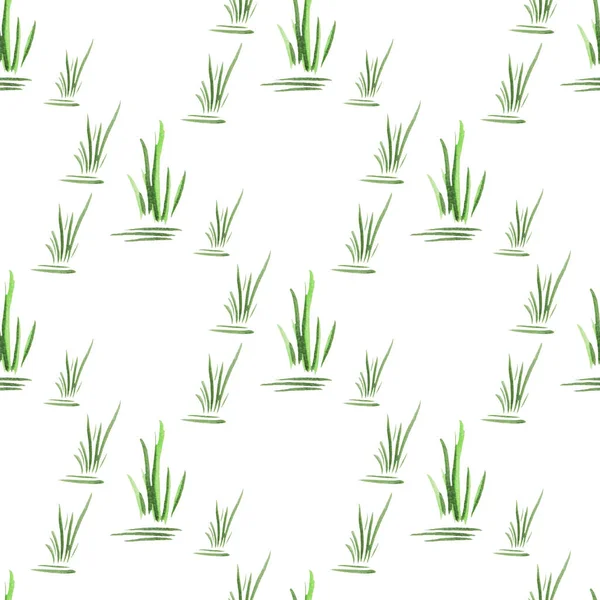 Płynny wzór z zieloną ręcznie rysowaną trawą akwarelową na białym tle. W przypadku tekstyliów drukuj. Naturalna koncepcja organiczna. Prosty dwukolorowy obraz — Zdjęcie stockowe