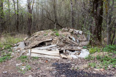 Yolun yakınındaki ormanda çöplük.