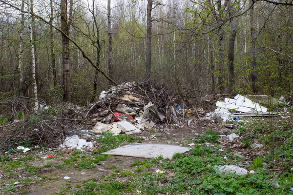 Décharge Dans Forêt Près Route — Photo