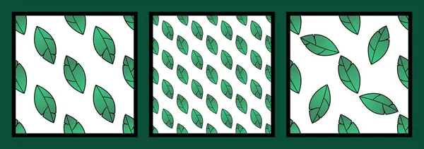 一组三个无缝的自然模式 绿色叶子在白色背景上 素食的概念 — 图库矢量图片