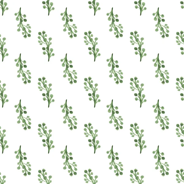 Płynny Wzór Ręcznie Rysowane Akwarelowe Zielone Gałęzie Jagodami Białym Ekologiczna — Zdjęcie stockowe