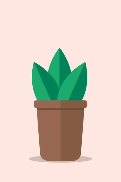 Eenvoudige Plant Met Groene Bladeren Bruine Pot Gezellig Huis Interieur — Stockfoto