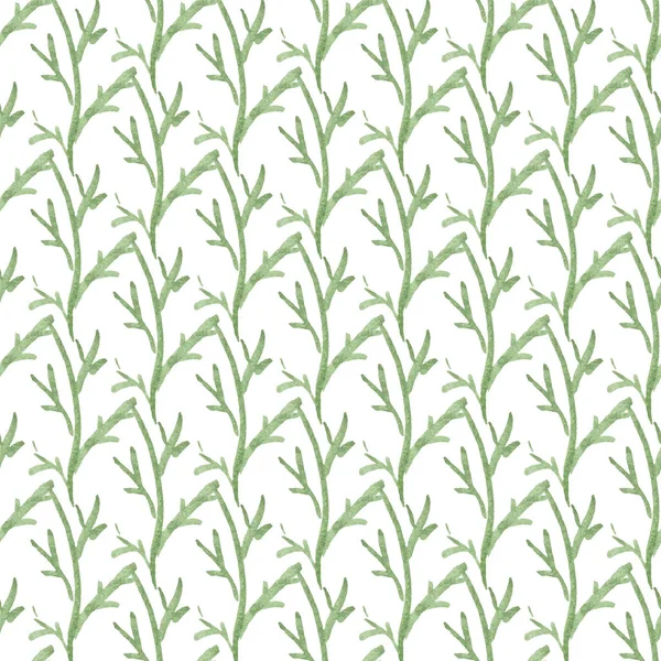 Απρόσκοπτη Μοτίβο Ζωγραφισμένα Στο Χέρι Υδρόχρωμα Πράσινα Κλαδιά Χωρίς Φύλλα — Διανυσματικό Αρχείο