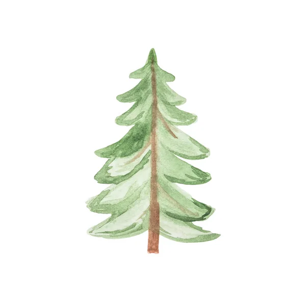 Ručně kreslené akvarel zelený vánoční strom izolované na bílém pozadí. — Stockový vektor