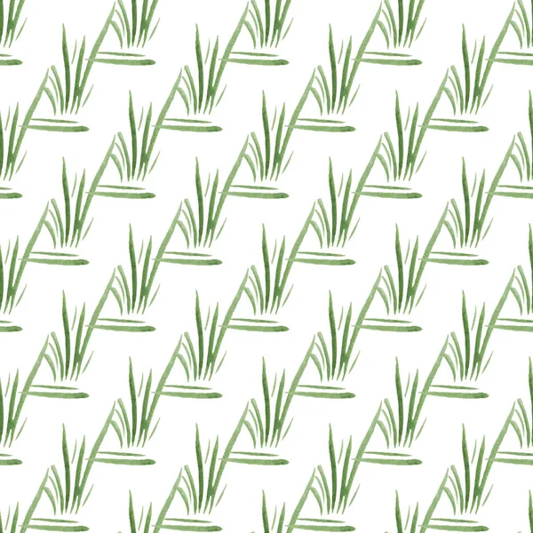 Zökkenőmentes minta zöld kézzel rajzolt akvarell fű fehér alapon. Textil, nyomtatás. Természetes organikus koncepció. Egyszerű kétszínű kép. — Stock Vector