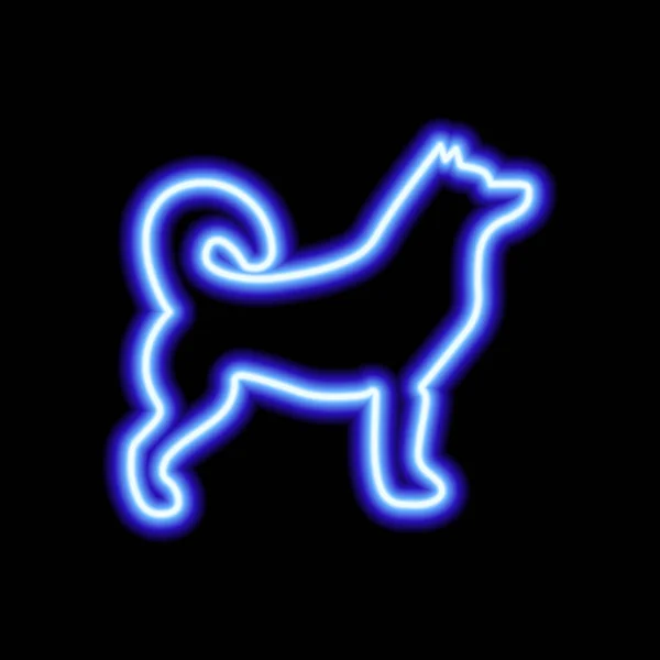 Modré Neonové Znamení Husky Černém Pozadí — Stockový vektor
