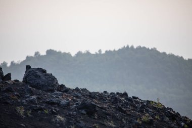Tolbachik volkanlı manzara