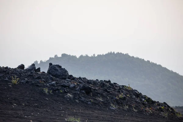 Landscape Volcano Tolbachik — Stock Photo, Image