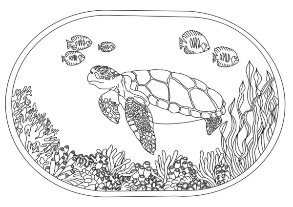 Hand Drawn Turtle Coloring Page — Stock Vector