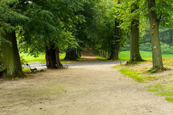 Sonbaharın başında eski şehir parkında bir yürüyüş.
