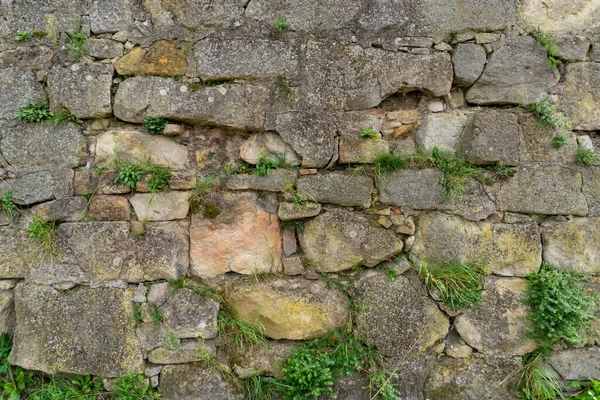 Oude Stenen Van Het Fort Met Groeiende Planten — Stockfoto