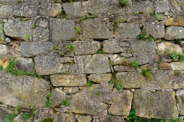 Büyüyen bitkileri olan kalenin eski tuğlaları