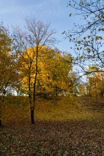 Güzel renklerle dolu Hisar Parkı 'nda (Poznan Kalesi) renkli, ılık bir sonbahar. 