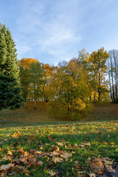 Güzel renklerle dolu Hisar Parkı 'nda (Poznan Kalesi) renkli, ılık bir sonbahar. 