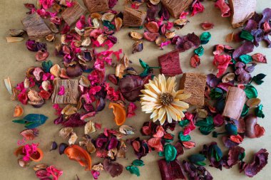 Kurumuş renkli yaprakların, çiçeklerin ve odunların arka planı