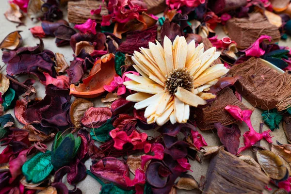 乾燥した色の異なる葉 花や木の背景 — ストック写真