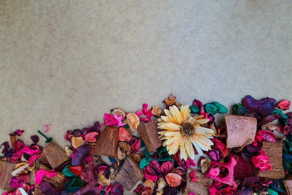 Kurumuş renkli yaprakların, çiçeklerin ve odunların arka planı