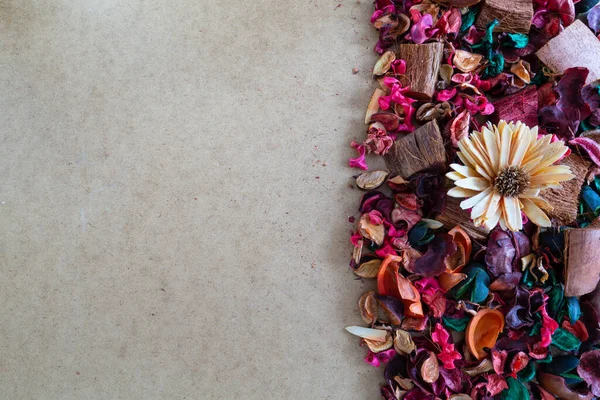 Kurumuş renkli yaprakların, çiçeklerin ve odunların arka planı