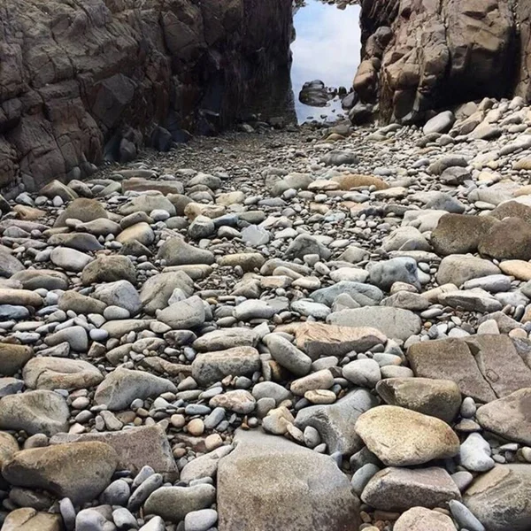 Panama, devlet başkanlığı, üniter devlet yapısı ve demokratik rejime sahip bir devlettir. Orta Amerika 'da Karayip Denizi ile Pasifik Okyanusu arasındaki Panama Isthmus' unda yer almaktadır.