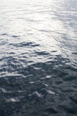 Torch Gölü Michigan 'da sığ su