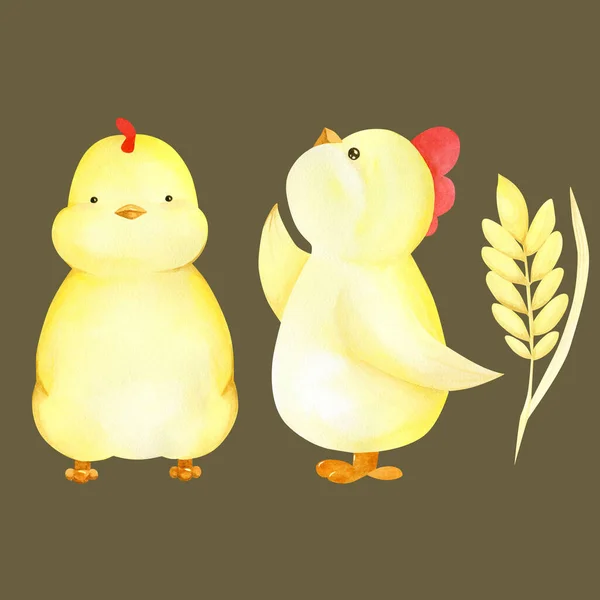 Watercolor little baby chick easter corn character — Stock Photo, Image