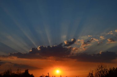 Ormanda güzel bir gün batımı