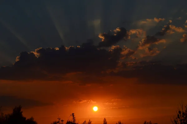 Dark Sunset Forest — Stock Photo, Image