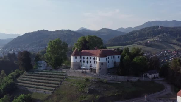Castello con vista aerea Novo Mesto Slovenia. — Video Stock