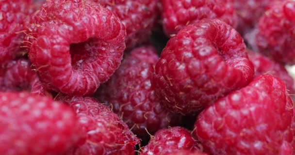 Zwei Schüsse Himbeeren drehen sich aus nächster Nähe — Stockvideo