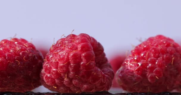 Frambuesas rojas, tres chupitos — Vídeos de Stock