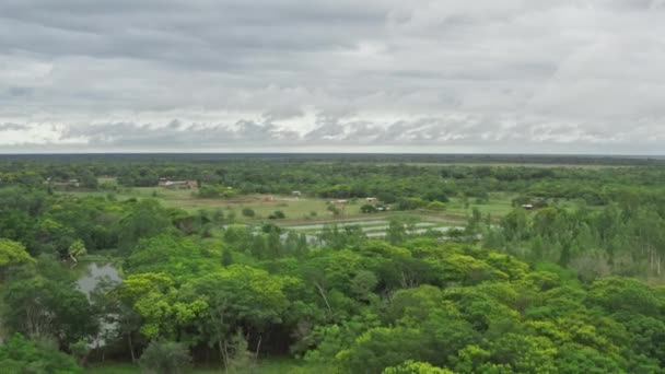 Vista aérea natureza Paraguai. Florestas bonitas — Vídeo de Stock