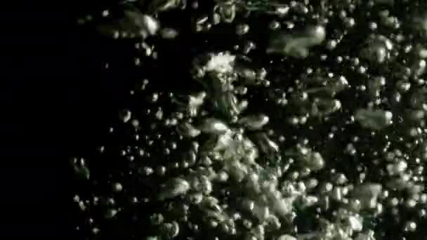 Vídeo de fondo abstracto bulbo de agua sobre un fondo negro — Vídeos de Stock