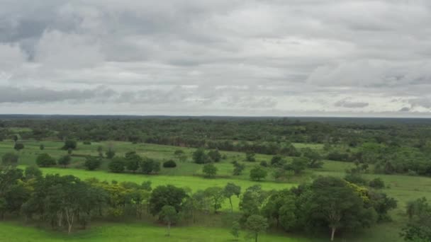 Widok z lotu ptaka natura Paragwaj. — Wideo stockowe