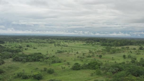 Paraguay 'ın doğasının havadan görünüşü. — Stok video