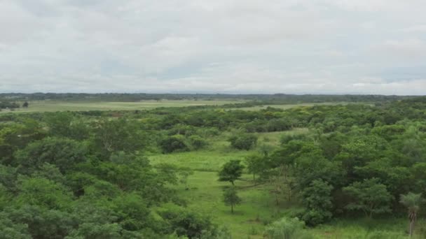 Вид с воздуха на природу Парагвая — стоковое видео