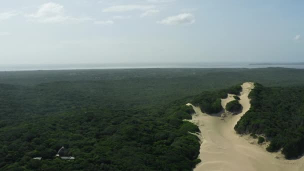 Vista aérea de Savannah Mozambique. Hermosa naturaleza — Vídeos de Stock