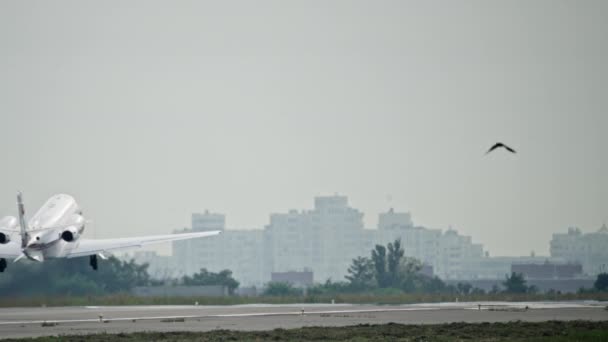 Mały prywatny samolot startuje w miejskiej scenerii. — Wideo stockowe