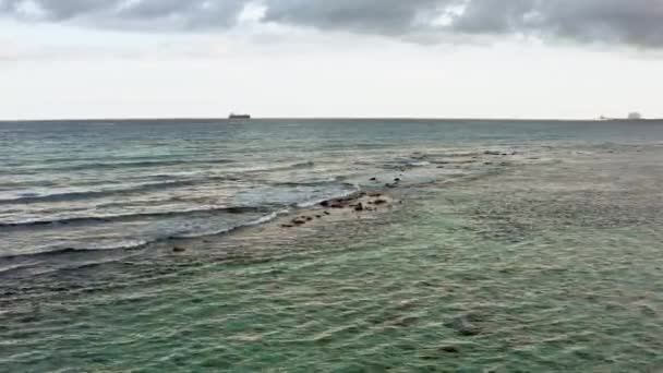 Vista aérea paisagem da natureza do oceano. Vídeo com ondas da República Dominicana — Vídeo de Stock