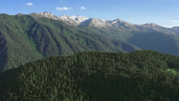 소나무 숲으로 덮여 있는 산맥의 공중 촬영. — 비디오