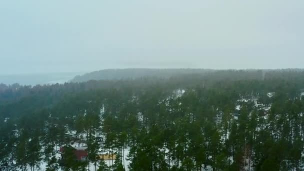 Widok z lotu ptaka zimowy las sosnowy. Piękna przyroda ze śnieżnymi świerkami. — Wideo stockowe