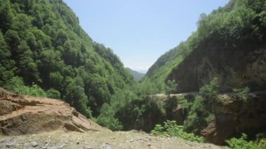 Bir dağ geçidi manzarası ve yoğun bir yeşil orman, dağlarda bir durak..