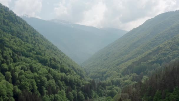 Vista aérea de las estribaciones con un denso bosque verde — Vídeo de stock