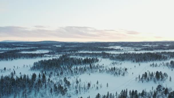 Luchtfoto winter Zweeds. — Stockvideo