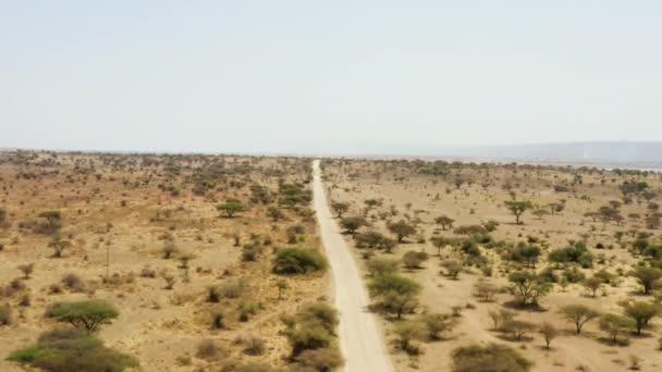 Disparo aéreo en Tanzania. Drone volando sobre la carretera en la sabana — Vídeo de stock