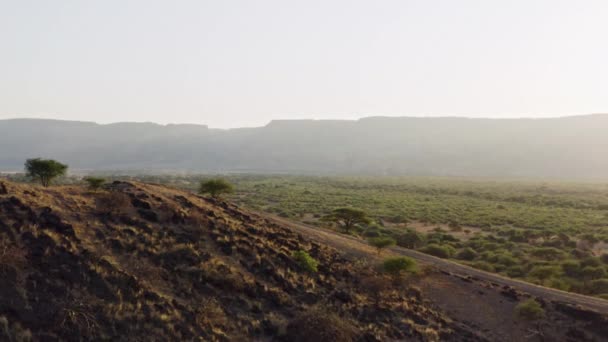 Vista aérea Tanzania. Un hermoso vuelo de drones sobre la sabana — Vídeo de stock